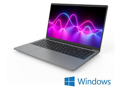Ноутбук DZEN, Windows 10 Prof, 1920x1080, Intel Core i5 1135G7, 16ГБ, 512ГБ, Intel Iris Xe Graphics (Серый)
