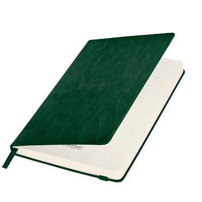 Ежедневник Voyage BtoBook недатированный  (без упаковки, без стикера) (Зеленый)