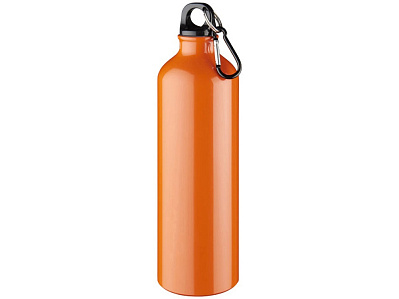 Алюминиевая бутылка Oregon с карабином (Оранжевый)