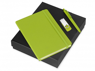 Подарочный набор Vision Pro Plus soft-touch с флешкой, ручкой и блокнотом А5 (Зеленый)