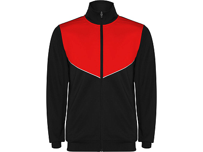 Спортивный костюм Evans, мужской