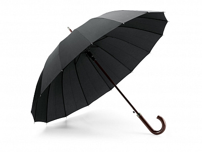 Зонт из 16 прутьев HEDI (Черный)