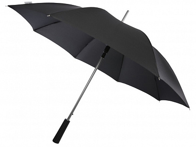Зонт-трость Pasadena (Черный/серебристый)