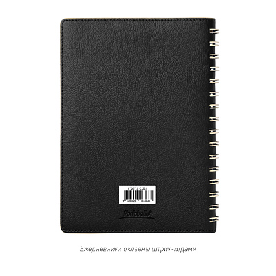 Ежедневник Vista недатированный, черный/бежевый