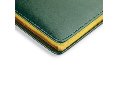 Ежедневник недатированный А4 Sidney Nebraska с золотым срезом