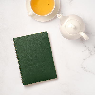 Ежедневник Виста (Vista) недатированный, зеленый/салатовый