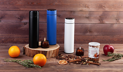 Набор подарочный "Pleasure": термос "Финикс", специи, синий