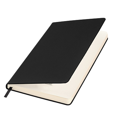 Ежедневник Alpha BtoBook недатированный  (без резинки, без упаковки, без стикера) (Черный)