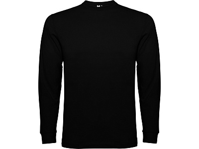 Футболка с длинным рукавом Pointer мужская (Чёрный)