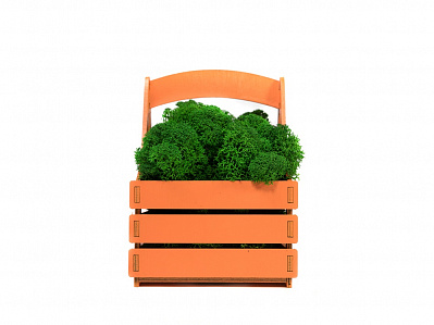 Композиция Корзинка со мхом (Оранжевый, зеленый)