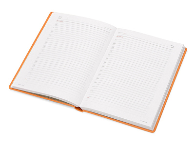 Ежедневник недатированный А5 Velvet