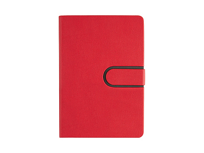 Ежедневник недатированный А5 Status