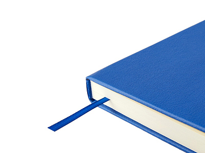 Ежедневник недатированный А5 Status