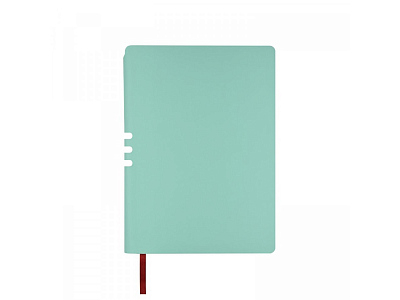 Ежедневник недатированный А5 Madrid