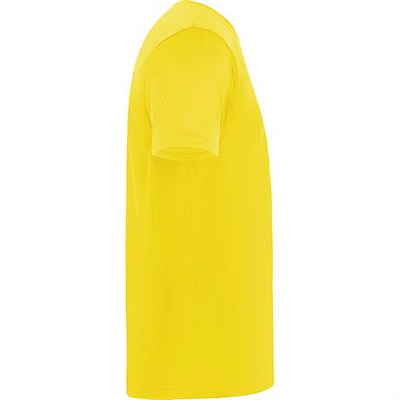 Спортивная футболка DAYTONA унисекс, ЖЕЛТЫЙ 3XL