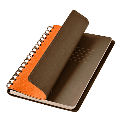Ежедневник Vista недатированный, оранжевый/коричневый (Оранжевый, коричневый, бежевый)