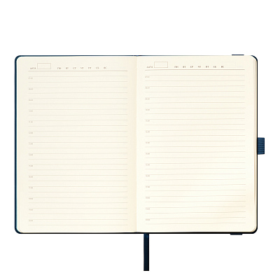 Ежедневник Альфа (Alpha) недатированный, синий/голубой