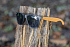 Солнцезащитные очки Cork из переработанного пластика, UV 400 - Фото 5