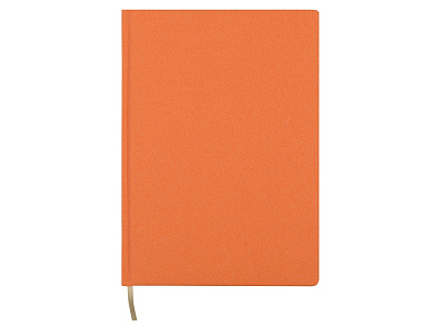 Ежедневник недатированный А5 Medley AR