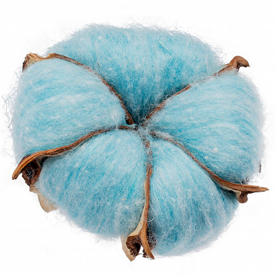 Цветок хлопка Cotton  (Голубой)
