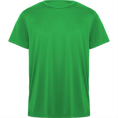 Спортивная футболка DAYTONA унисекс, ПАПАРОТНИКОВЫЙ XL (Папаротниковый)