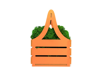 Композиция Корзинка со мхом