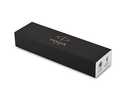 Ручка перьевая Parker IM Metal Brushed Metal GT