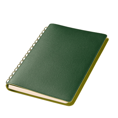 Ежедневник Виста (Vista) недатированный, зеленый/салатовый