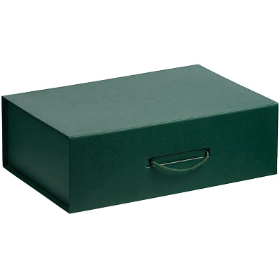 Коробка Big Case, зеленая (Зеленый)