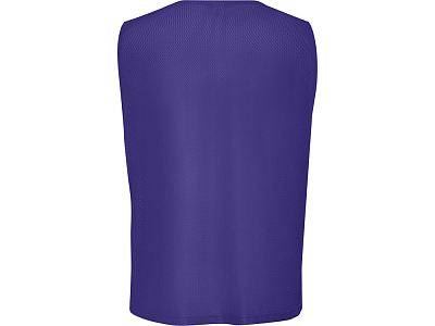 Манишка спортивная Roma, унисекс