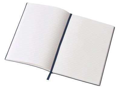 Блокнот в гибкой обложке А5 Bradbury