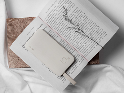 ПЗУ 137 Solove X8, коричневый