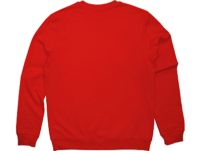 Свитшот Motion с начесом, унисекс