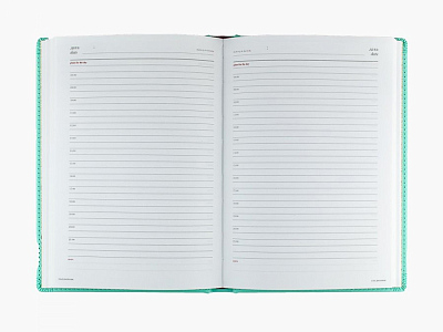 Ежедневник недатированный А5 Velvet