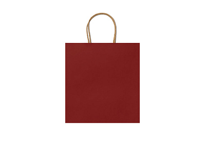 Пакет бумажный HAYA (Красный)