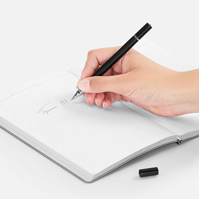 Ручка шариковая и вечный карандаш Diptych, черная