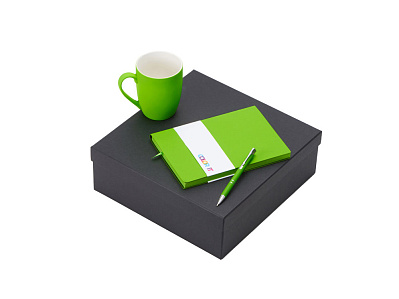Подарочный набор COLOR IT с блокнотом, металлической ручкой и кружкой (Зеленое яблоко)
