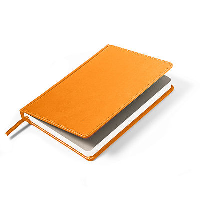 Ежедневник недатированный Anderson, формат А5,  в линейку