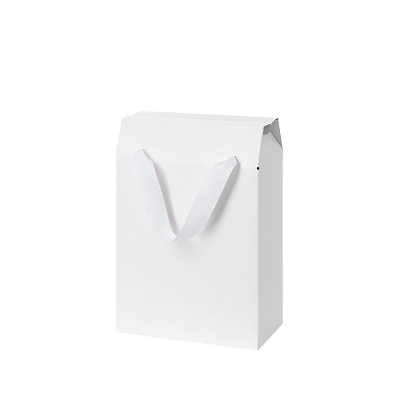 Подарочная коробка-пакет универсальная малая, белая (Белый)