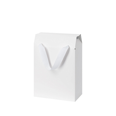 Подарочная коробка-пакет универсальная малая, белая