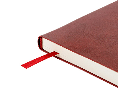 Ежедневник недатированный А5 Primavera