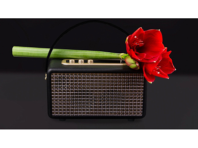 Портативная акустика Mysound Drive