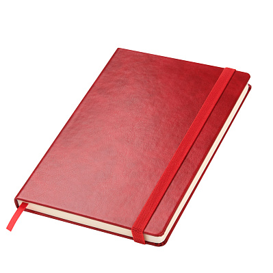 Ежедневник Vegas BtoBook недатированный  (без упаковки, без стикера) (Красный)