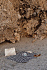 Плед для пикника VINGA Alba из rPET GRS, 110х110 см - Фото 5
