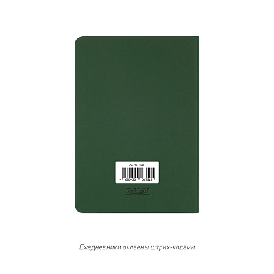 Ежедневник Спарк мини (Spark mini) A6 недатированный, зеленый