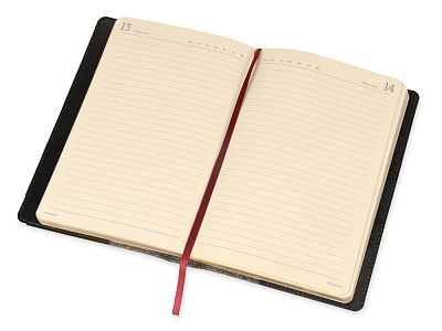 Ежедневник полудатированный портфолио А5 Profy