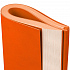 Ежедневник Flat Maxi, недатированный, оранжевый - Фото 6