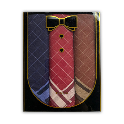 Подарочный набор мужских носовых платков "ETNICA" Пд13д