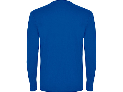 Футболка с длинным рукавом Pointer мужская