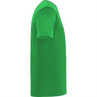 Спортивная футболка DAYTONA унисекс, ПАПАРОТНИКОВЫЙ 3XL